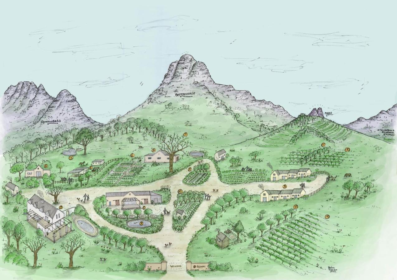 Rozendal Stay Stellenbosch Exterior foto